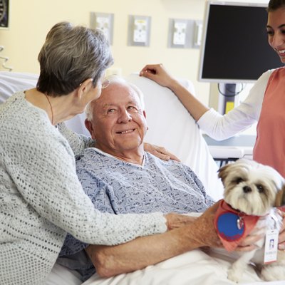 Pet Therapy Dog Visiting Senior Male Patient In Hospital