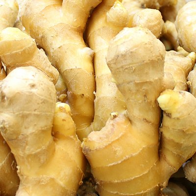Ginger