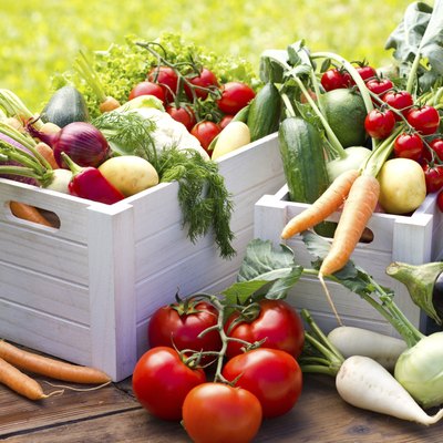 Fresh and organic vegetables in the garden