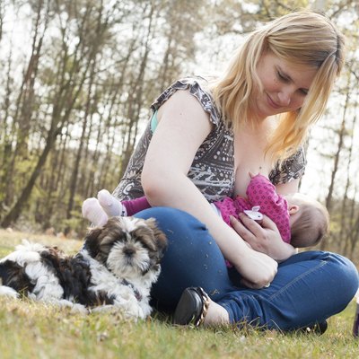 Sweet puppy while mother is feeding her daughter