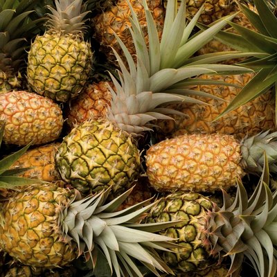 Fresh pineapples as a background