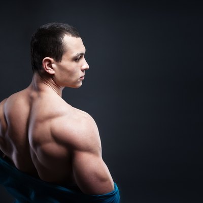 Muscled male model showing his back