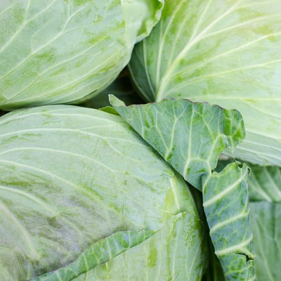 Cabbages