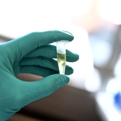 Test tube