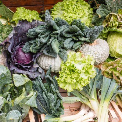 Group of Fresh Organic Assorted Green Vegetables