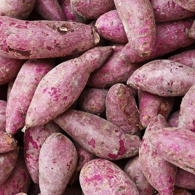Purple Sweet Potato