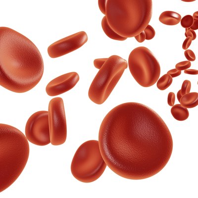isolated blood cells