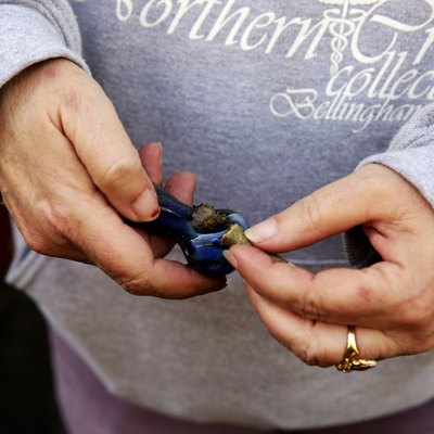 Unofficial Counterculture Marijuana Holiday Celebrated