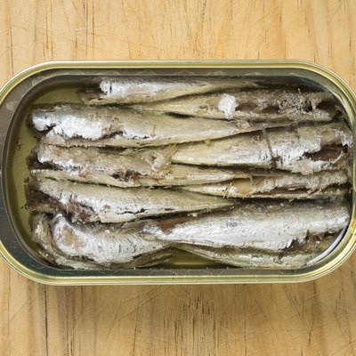 canned sardines