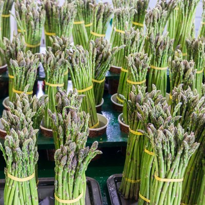 Asparagus Tied inBunches For Sale
