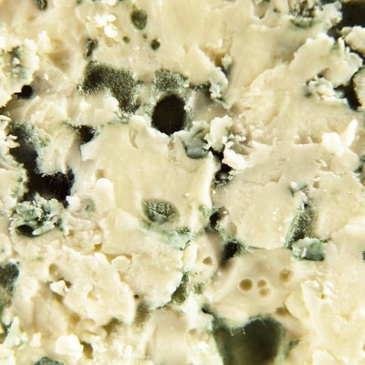 gourmet cheese