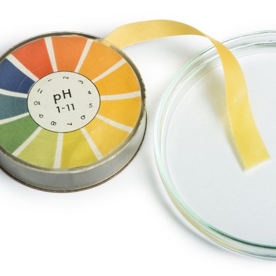 Litmus paper and beaker
