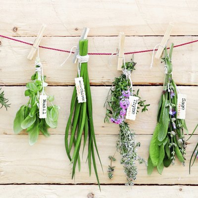 Hanging Herbs