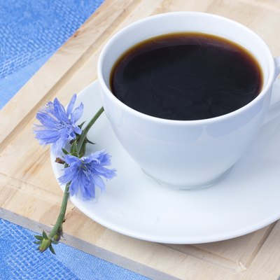 chicory in a white cup