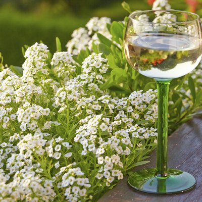 Wine glass with beautiful flowers