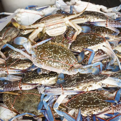 raw crab at seafood market