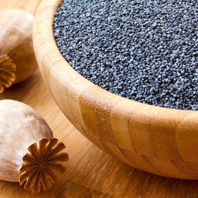 Poppy seeds in wood bowl with two dried pods.