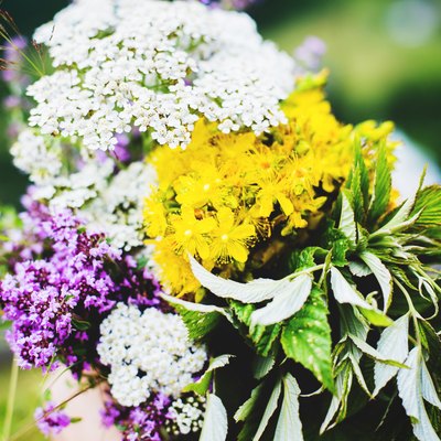 Bouquet of wild flowers on the fence
