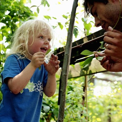 Father showing boy (2-5) plant in garden