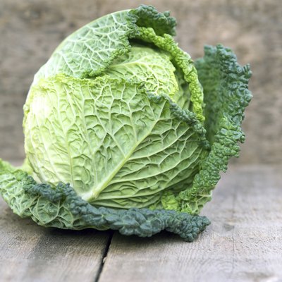 Fresh Savoy Cabbage on wooden background