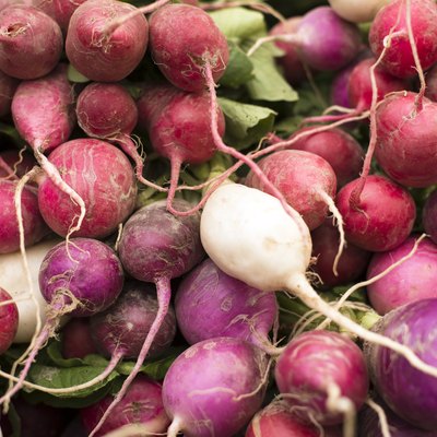 freshly harvested, organic radishes in colors