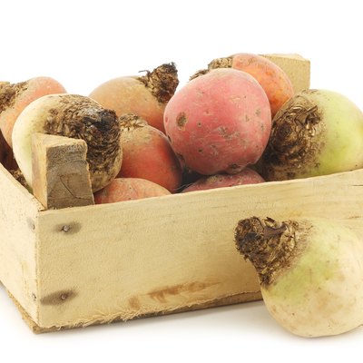 colorful mix of red,yellow and white beets