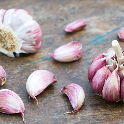 Garlic bulbs and cloves on wooden background