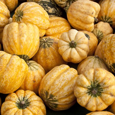 Yellow and Green Carnival Squash