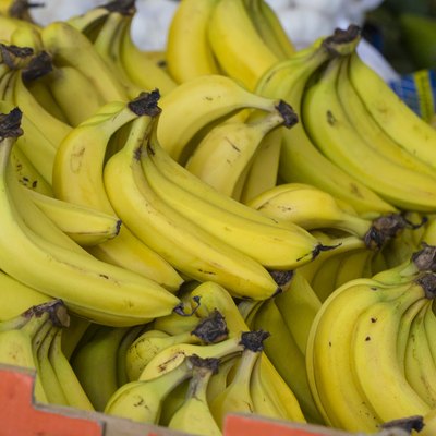 Hand of Ripe Bananas