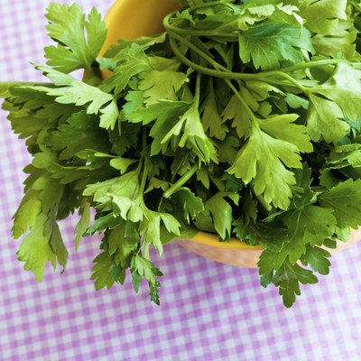 Fresh Herbs: Cilantro