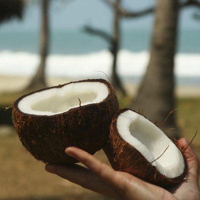 Coconut in hand