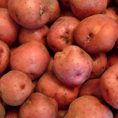 Red new potatoes in letterbox size