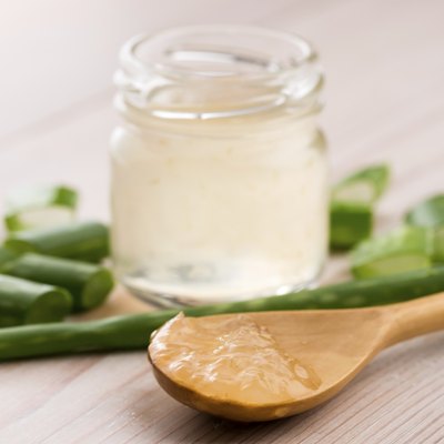 aloe vera juice with fresh leaves
