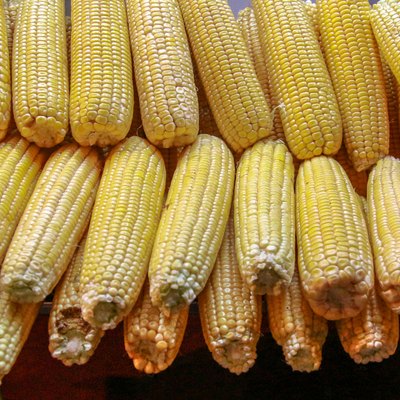 corn