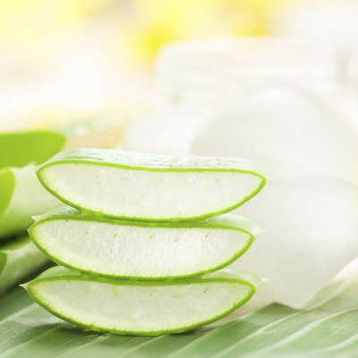 Aloe vera plant for skincare