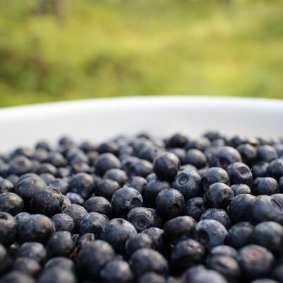 Berries in bucket