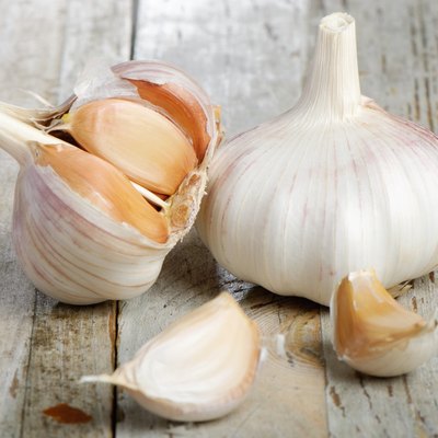 Garlic