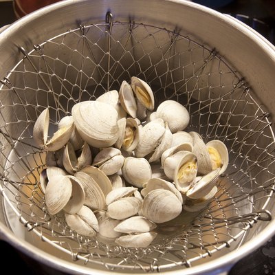 Steamed Clams