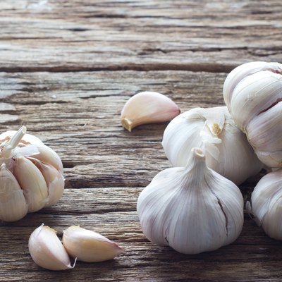 Garlic on the wooden background