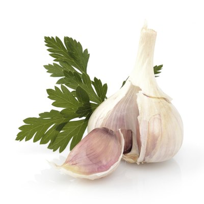 Garlic with parsley leaf isolated on white