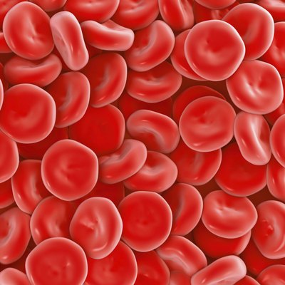blood cell