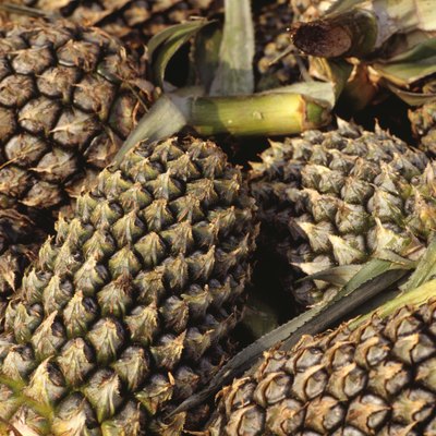 Pineapples, Kuala Lumpur, Malaysia, full frame, (Close-up)