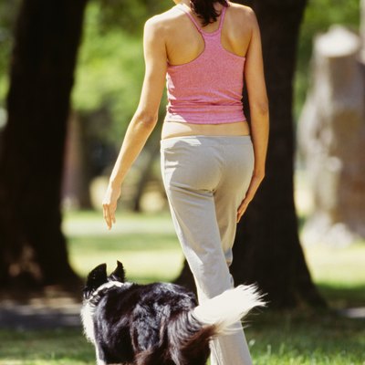 rear view of a young woman walking with her dog in a park