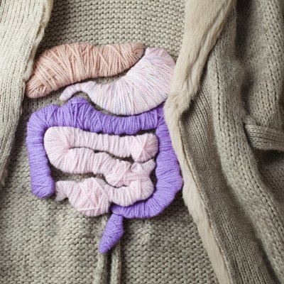 A knit jacket with the applique of internal organs