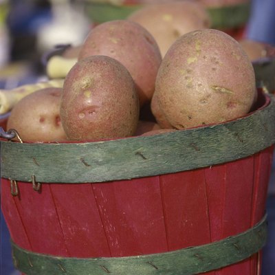 Close-up of potatoes in a wooden bucket