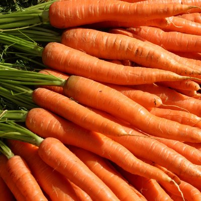 Many carrots