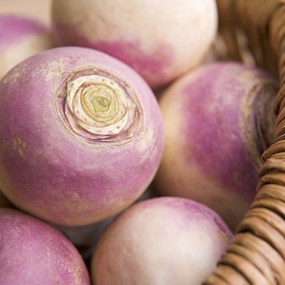 Basket of turnips