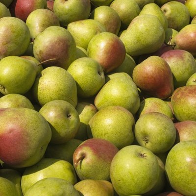 Pears