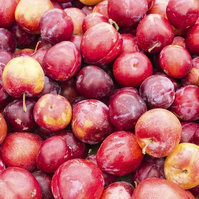 Red ripe plums at the market