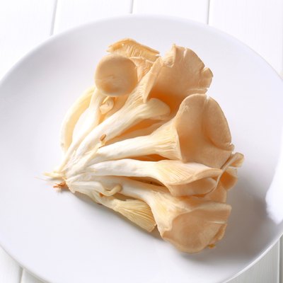 Fresh oyster mushrooms